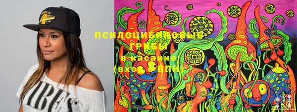 твердый Бронницы