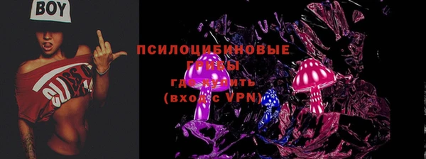 твердый Бронницы