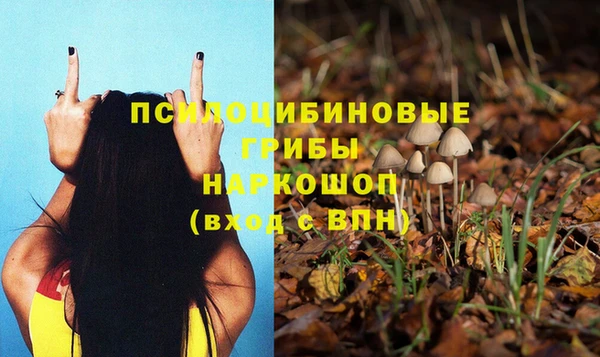 твердый Бронницы