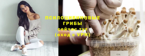 твердый Бронницы