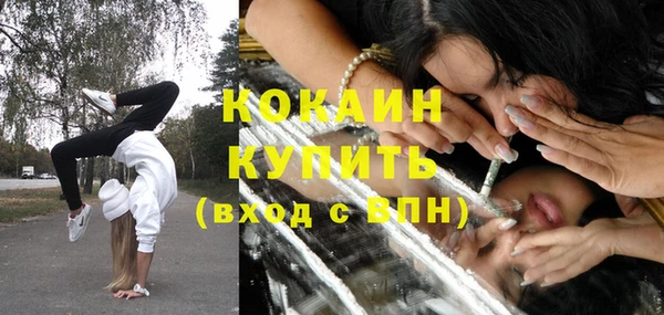 твердый Бронницы