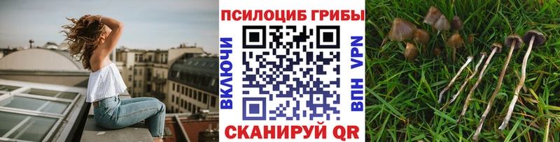 продажа наркотиков  Воронеж  Псилоцибиновые грибы мухоморы 